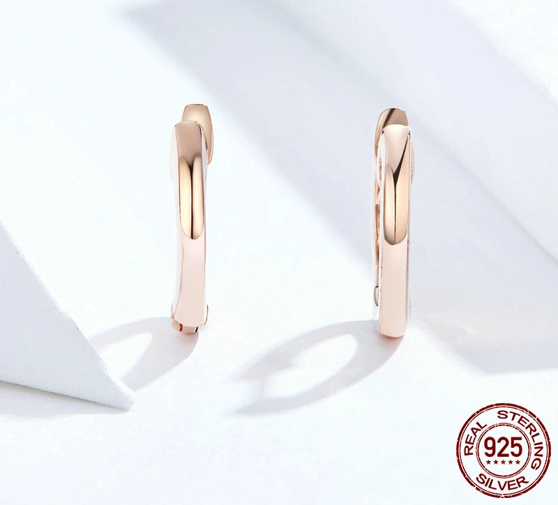 925 Sterling Silver Hoop Earrings 🌸 | Minimalist Everyday Jewelry for Girls & Women – Hypoallergenic & Elegant!