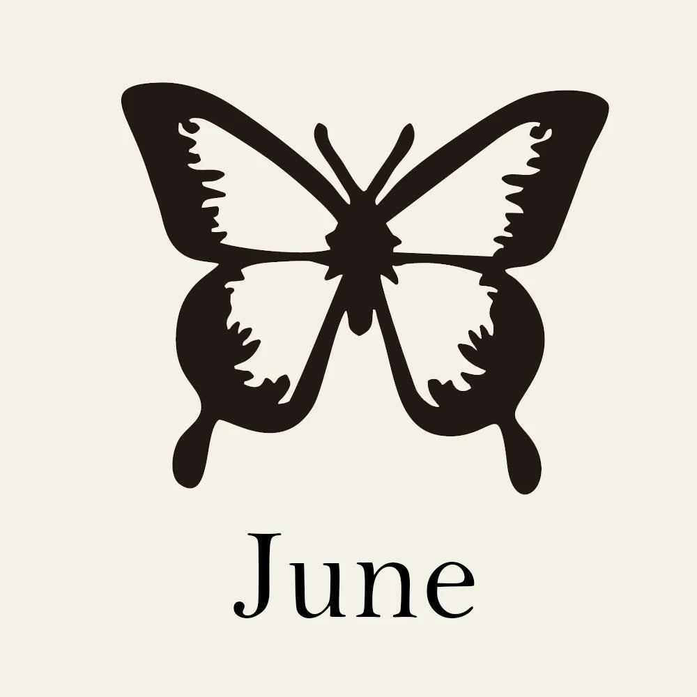 Personalised Name Necklace with Birth Month Butterfly | Custom Stainless Steel Choker | BFF Jewellery Gift!