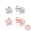 Load image into Gallery viewer, Exquisite Cubic Zirconia Stars Stud Earrings: Top-Quality Sterling Silver Jewellery for Girls!